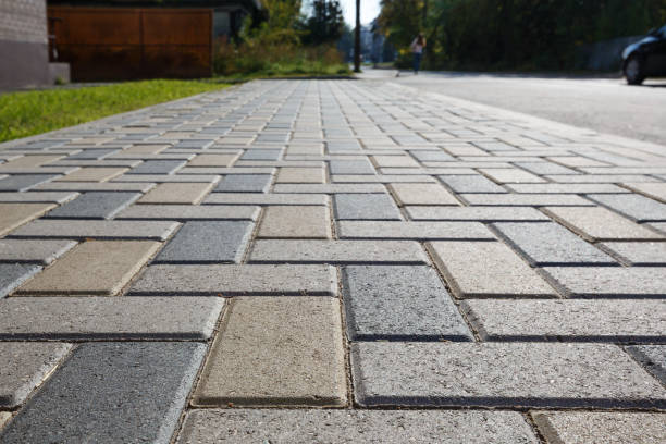 Best Professional Driveway Pavers  in Morris, MN