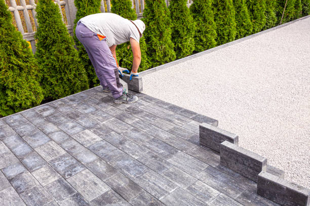 Best Local Driveway Pavers  in Morris, MN