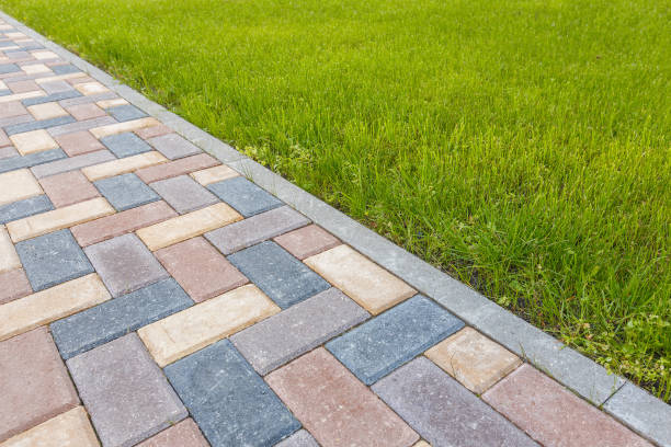 Best Driveway Repair Near Me  in Morris, MN
